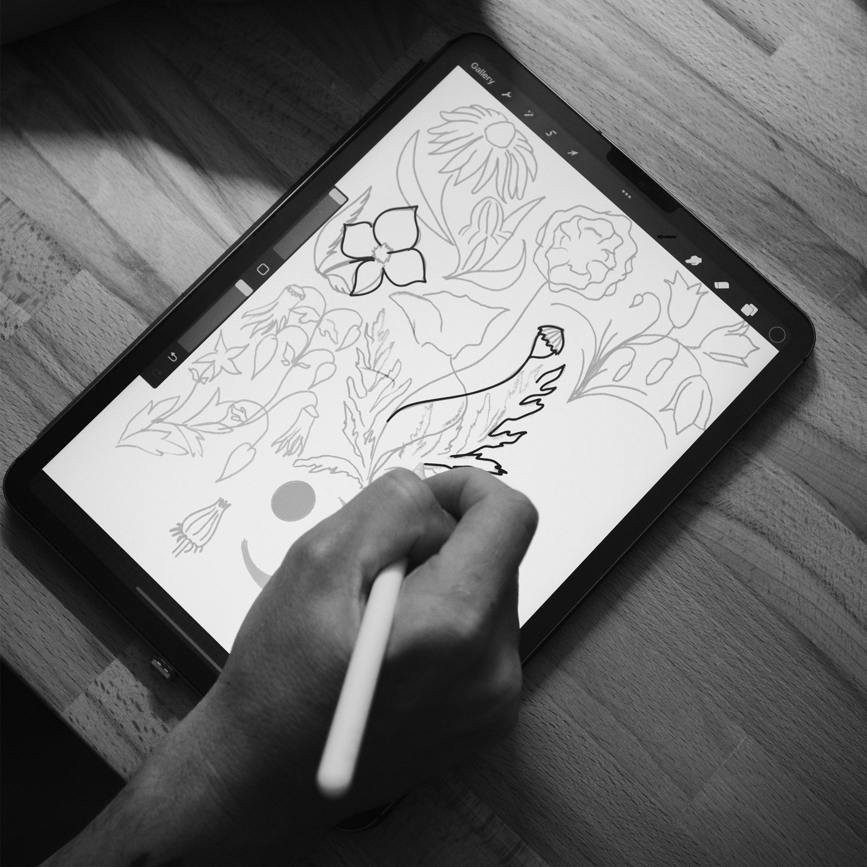 Not Roses design process. Image showing designer drawing a t-shirt print on an iPad pro 11 inch. 